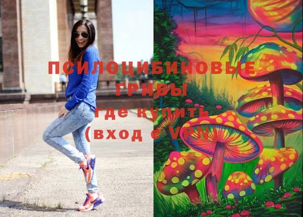 СК Алексеевка
